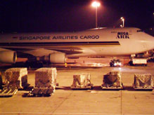 Import & Export of Wildlife